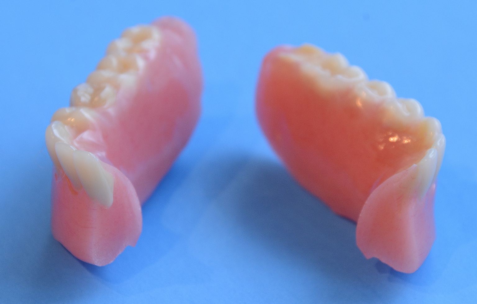Full denture on blue background